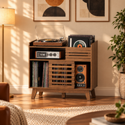 The Camden Record Console